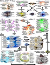1728340276458455