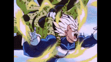 vegeta-perfect