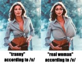 1735172962793042
