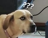 1730061858190