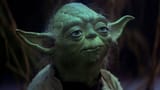 yoda