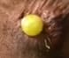 The Grape
