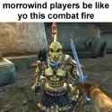 morrowindbros_thumb.jpg