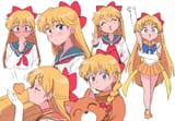 __aino_minako_and_sailor_venus_bishoujo_senshi_sailor_moon_drawn_by_tsubobot__bf3eed8912914bb800ebc8deb55bfac8