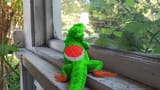 LadYoshi
