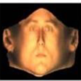 vev