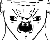 1521305819356
