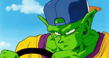 Piccolo_driving