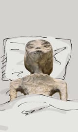 df3e8c8130ef79d3bdebba148354655f_1