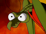 zorak