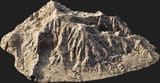wldhdhxva_Thumb_HighPoly_thumb