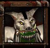 shaman