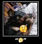 FFyJDMfXMA0Prbx
