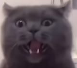1739530405232831