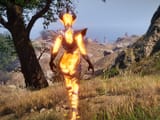 Flame Atronach
