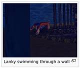 lanky swim