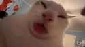 1750698328942884_thumb.jpg