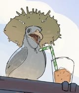 seagull
