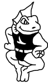 oiram repus