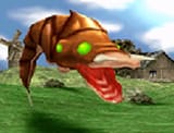 Worm card