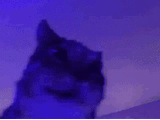 1000025936