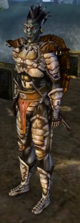visible sword n shield