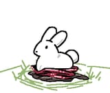 now make her an actual bunny 1714911130150383