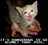 TAKETHISCAT