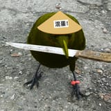 bord