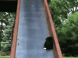 1645356448209