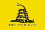 gadsen flag