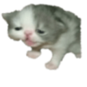 22222