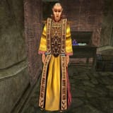 MW-npc-Galbedir