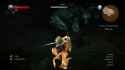 The Witcher 3_thumb.jpg