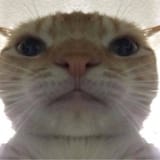 1750926246392
