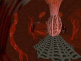 The_many