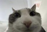 1722641616414841