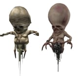 which is which