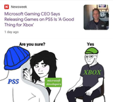 xbox in a nutshell