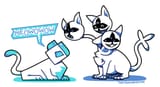 important cat business