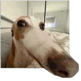 1000070771