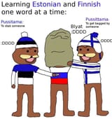 eesti_et_suomi_saatana