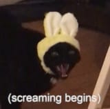 AAAARGH