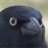 1731352161071150