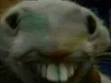 1723766587640695