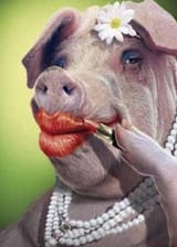 GF6MWZGW8AAY1f7.jpg_large