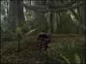 area5jungle_thumb.jpg