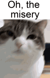 1739335409852966
