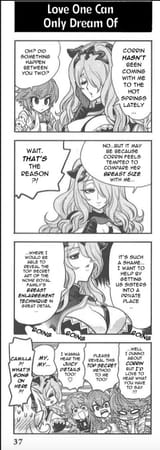 camilla breast enlargement