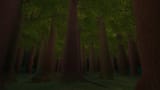 The Woods KH2
